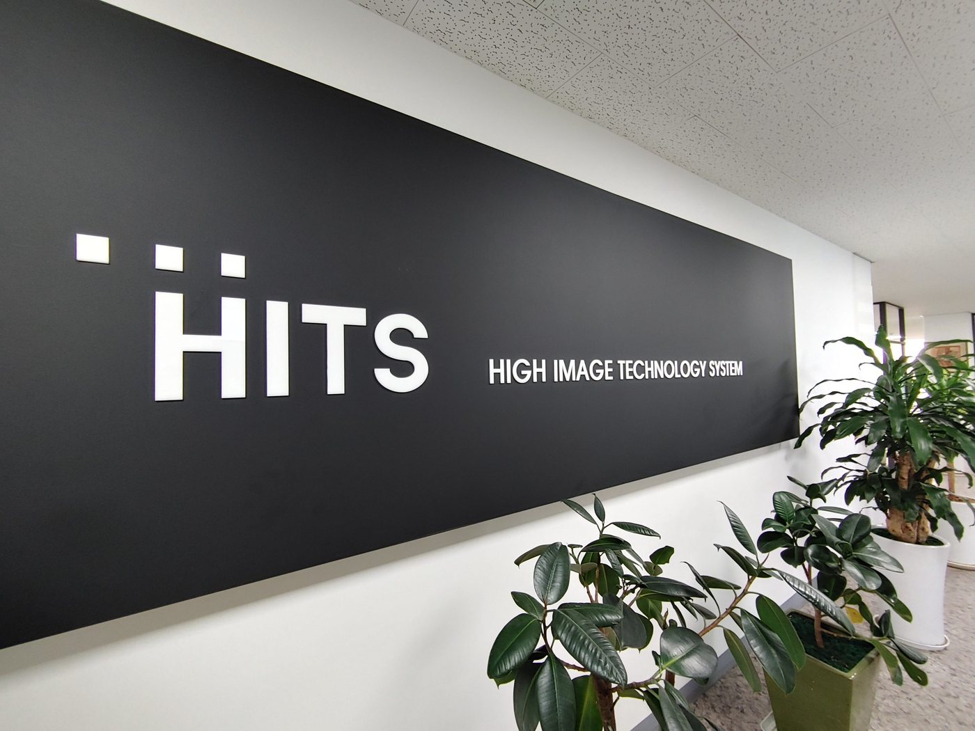 HITS 사옥 로비의 브랜드 월